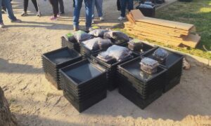 vermicomposteras la florida