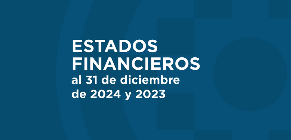 Screenshot 2026-04-11 at 15-55-53 EEFF DICIEMBRE 2024 Y 2023 CIRCULARTEC (2).pdf - Google Drive
